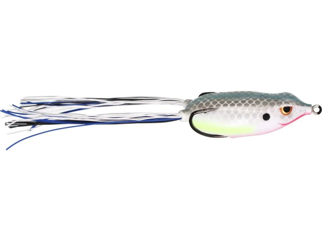 SPRO Bronzeye Frog